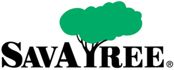 SavaTreeLogo